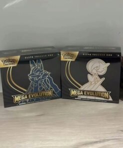 Pokémon Paletten kaufen für Wiederverkäufer