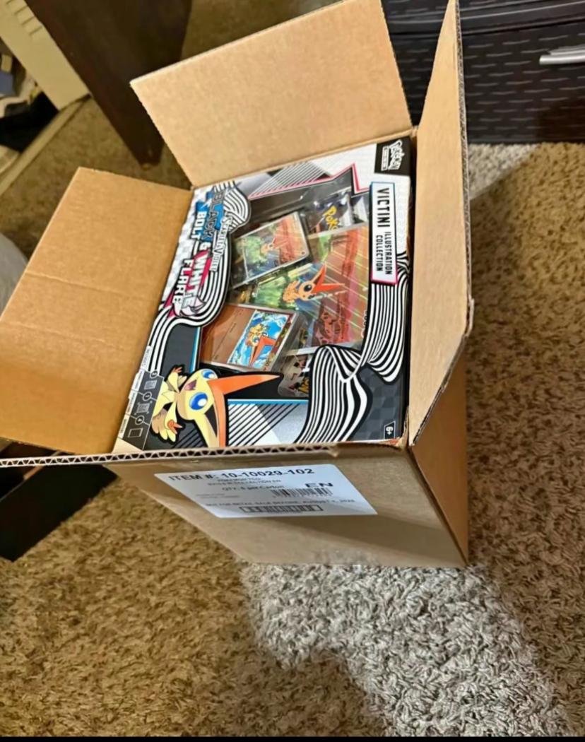 Pokémon Karten Paletten Import Deutschland