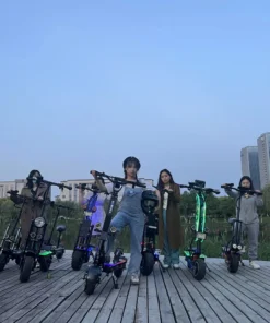 electronic star e scooter